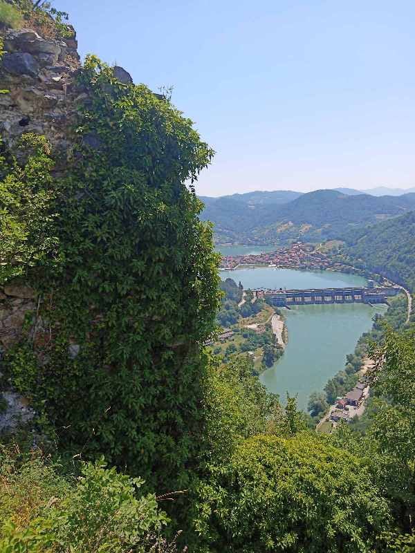 Pogled