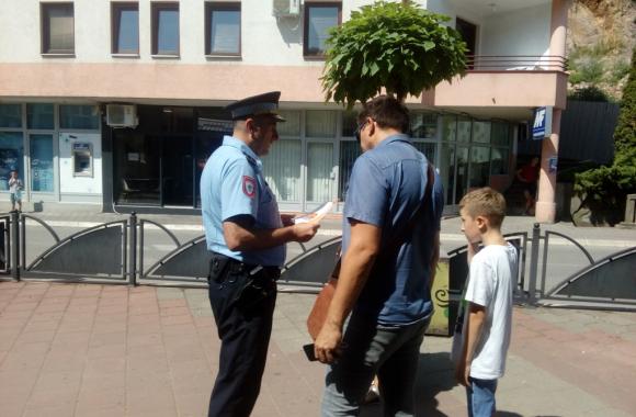 Policijska akcija