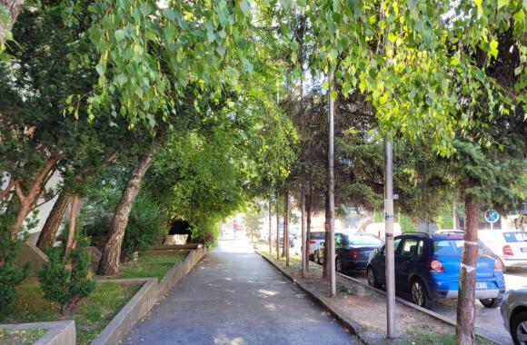 svetog save ulica