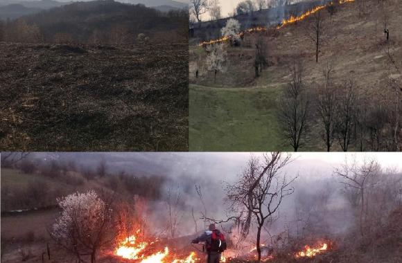 Sumski pozar kolaz 1