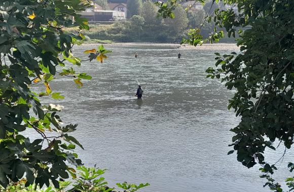 Drina ribari.