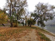 Drina jesen